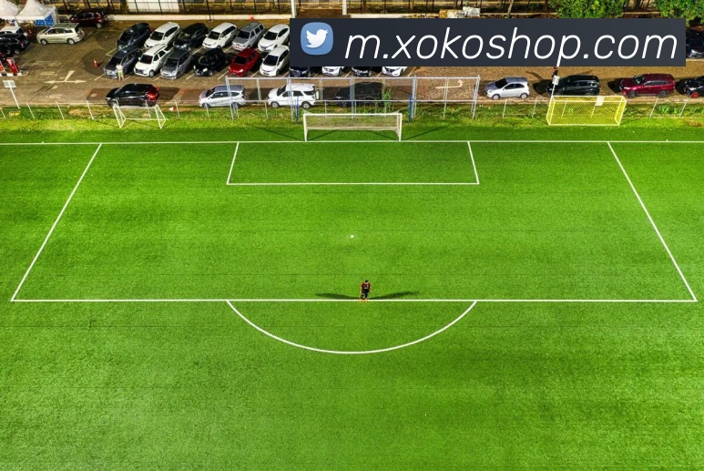 体育App